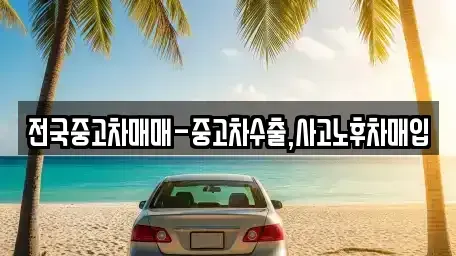 전북특별자치도 전주시 덕진구 여의동2가 중고차매입 전문 전국중고차매매-중고차수출,사고노후차매입