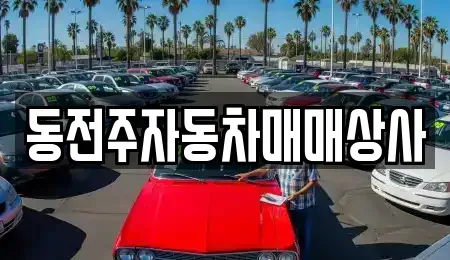 전북특별자치도 전주시 덕진구 호성동2가 중고차매매,단기렌트카,중고차매입,장기렌트카,중고차,렌트카