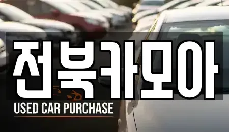 전북특별자치도 전주시 덕진구 호성동2가 중고차매매 전문 전북카모아