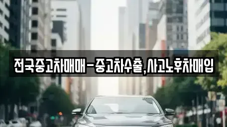전북특별자치도 전주시 덕진구 호성동2가 중고차매입 전문 전국중고차매매-중고차수출,사고노후차매입