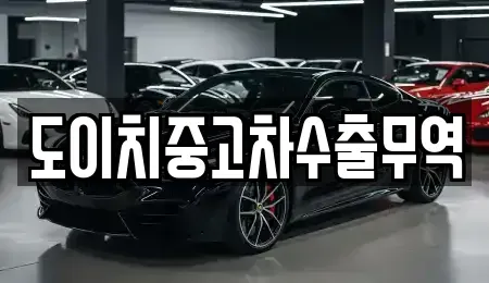 전북특별자치도 전주시 완산구 다가동4가 중고차 전문 도이치중고차수출무역