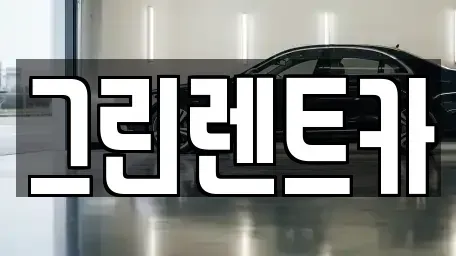전북특별자치도 전주시 완산구 서노송동 렌트카 전문 그린렌트카