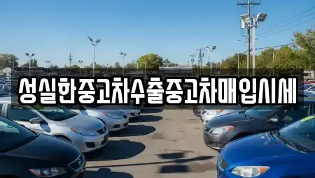전북특별자치도 전주시 완산구 중노송동 중고차매매 전문 성실한중고차수출중고차매입시세