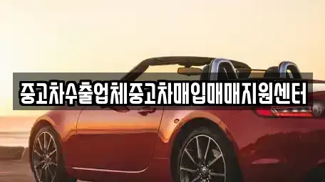 전북특별자치도 전주시 완산구 중노송동 중고차매입 전문 중고차수출업체중고차매입매매지원센터