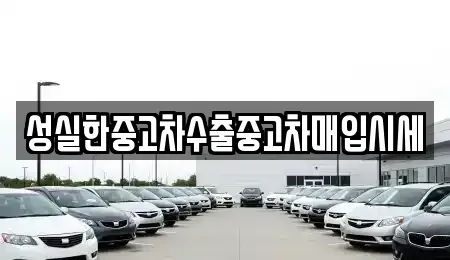 전북특별자치도 전주시 완산구 중화산동1가 중고차 전문 성실한중고차수출중고차매입시세