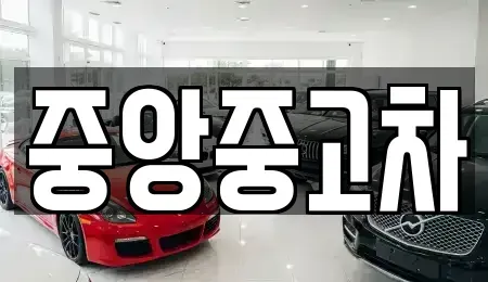 전북특별자치도 전주시 완산구 중화산동1가 중고차 전문 중앙중고차