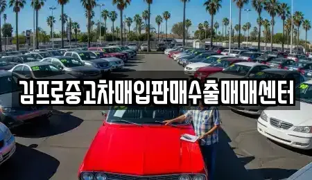전북특별자치도 전주시 완산구 중화산동1가 중고차매입 전문 김프로중고차매입판매수출매매센터