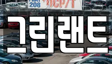 전북특별자치도 전주시 완산구 평화동3가 렌트카,단기렌트카,장기렌트카,중고차,중고차매매,중고차매입