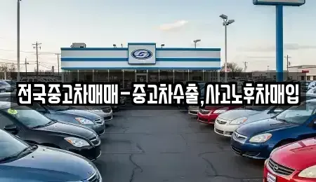 전북특별자치도 전주시 완산구 평화동3가 중고차 전문 전국중고차매매-중고차수출,사고노후차매입