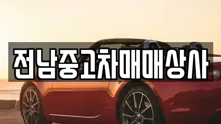 전북특별자치도 전주시 완산구 평화동3가 중고차매매 전문 전남중고차매매상사