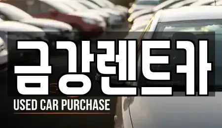 제주 제주시 삼도일동 렌트카 전문 금강렌트카