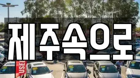 제주 제주시 삼도일동 렌트카 전문 제주속으로