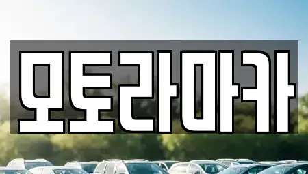 제주 제주시 삼도일동 중고차매매 전문 모토라마카