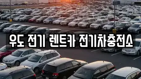 제주 제주시 우도면 렌트카 전문 우도 전기 렌트카 전기차충전소