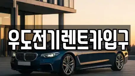 제주 제주시 우도면 렌트카 전문 우도전기렌트카입구
