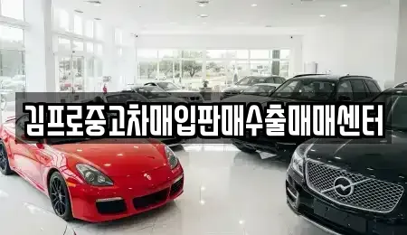 제주특별자치도 서귀포시 서호동 중고차매매 전문 김프로중고차매입판매수출매매센터