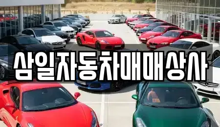 제주특별자치도 서귀포시 서호동 중고차매매 전문 삼일자동차매매상사