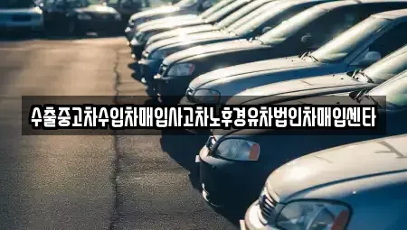 제주특별자치도 서귀포시 서호동 중고차매매 전문 수출중고차수입차매입사고차노후경유차법인차매입센타