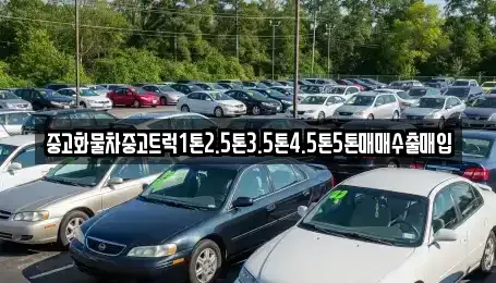 제주특별자치도 서귀포시 서호동 중고차매매,단기렌트카,중고차매입,장기렌트카,중고차,렌트카