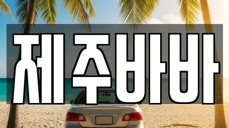 제주특별자치도 제주시 이도이동 렌트카 전문 제주바바