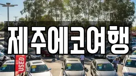 제주특별자치도 제주시 이도이동 렌트카 전문 제주에코여행