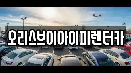 충남 공주시 무릉동 렌트카 전문 오리스브이아이피렌터카