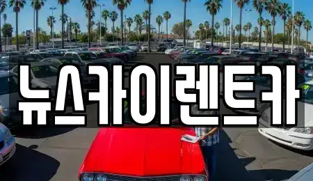 충남 공주시 신기동 렌트카 전문 뉴스카이렌트카