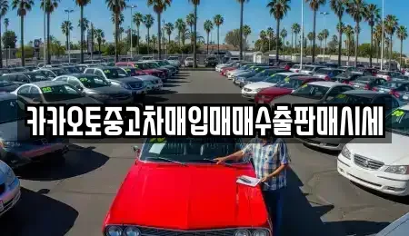 충남 공주시 신기동 중고차매매 전문 카카오토중고차매입매매수출판매시세