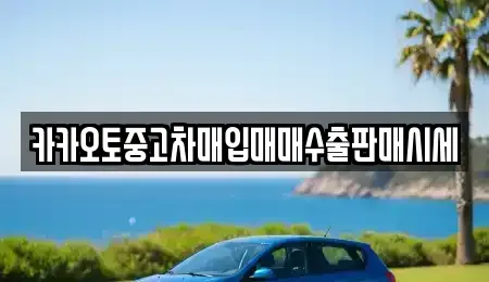 충남 공주시 이인면 중고차 전문 카카오토중고차매입매매수출판매시세