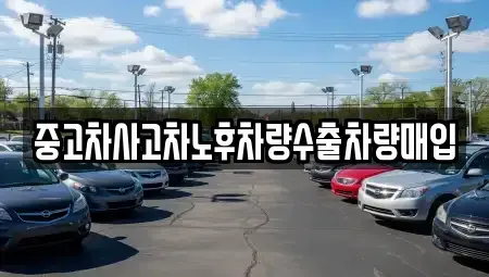 충남 보령시 주산면 중고차매매 전문 중고차사고차노후차량수출차량매입