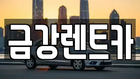 충남 서산시 대산읍 렌트카 전문 금강렌트카