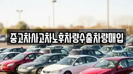 충남 서천군 마서면 중고차매매 전문 중고차사고차노후차량수출차량매입
