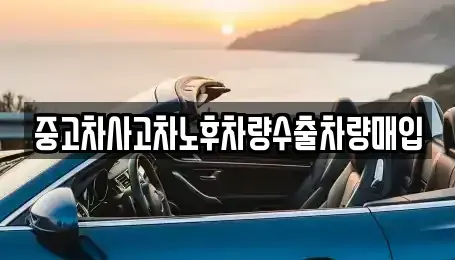 충남 아산시 모종동 중고차매입 전문 중고차사고차노후차량수출차량매입