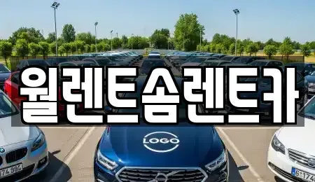 충남 아산시 장존동 렌트카 전문 월렌트솜렌트카