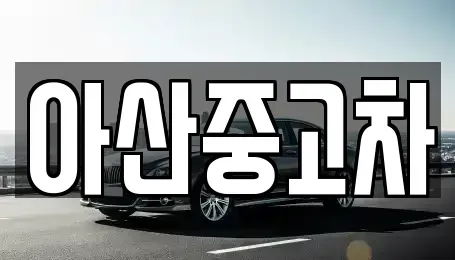 충남 아산시 장존동 중고차 전문 아산중고차