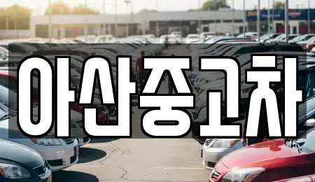 충남 아산시 장존동 중고차 전문 아산중고차