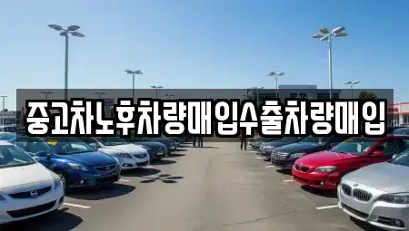 충남 홍성군 광천읍 중고차매입 전문 중고차노후차량매입수출차량매입