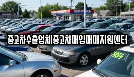 충남 홍성군 홍성읍 중고차매매 전문 중고차수출업체중고차매입매매지원센터