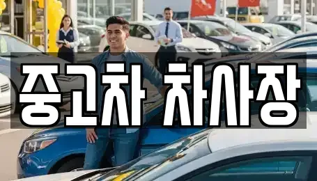충북 보은군 내북면 중고차매매 전문 중고차 차사장