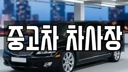 충북 보은군 산외면 중고차 전문 중고차 차사장