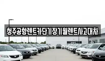 충북 청주시 흥덕구 복대동 단기렌트카 전문 청주공항렌트카단기장기월렌트사고대차