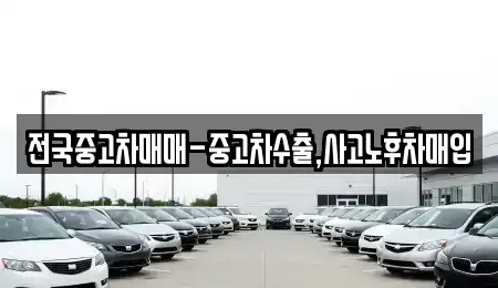 충북 청주시 흥덕구 복대동 중고차매입 전문 전국중고차매매-중고차수출,사고노후차매입