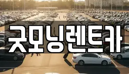 충북 충주시 렌트카 전문 굿모닝렌트카