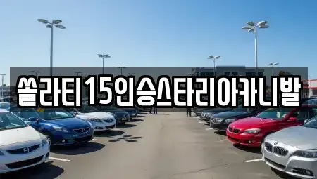 충북 충주시 산척면 렌트카 전문 쏠라티15인승스타리아카니발