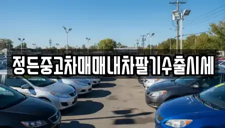 충북 충주시 산척면 중고차 전문 정든중고차매매내차팔기수출시세