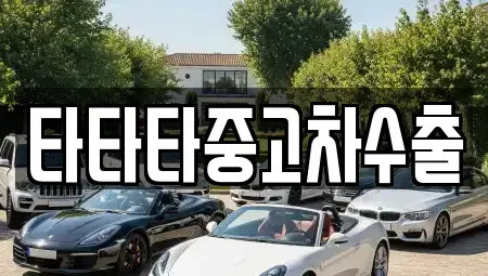 충북 충주시 산척면 중고차 전문 타타타중고차수출