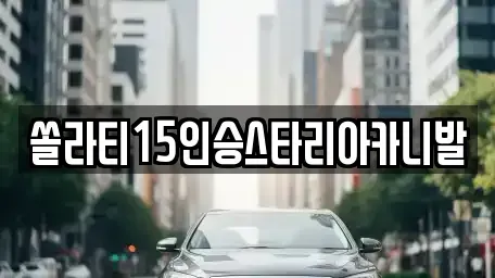 충북 충주시 칠금동 렌트카 전문 쏠라티15인승스타리아카니발