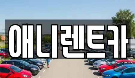 충북 충주시 칠금동 렌트카 전문 애니렌트카