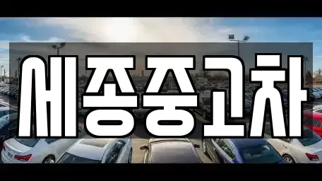 충청남도 공주시 월미동 중고차 전문 세종중고차