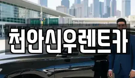 충청남도 단기렌트카 전문 천안신우렌트카